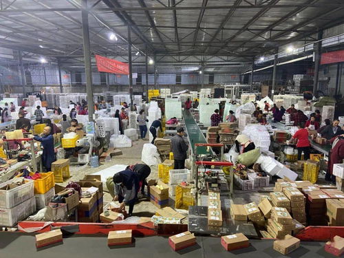 從千人咨詢到雙十一亮燈 信息咨詢服務(wù)的科技化賦能